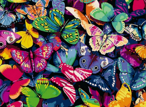 "Kolorowe Motyle" - wyniki konkursu