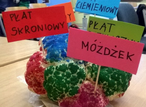 Twórcze odkrywanie natury